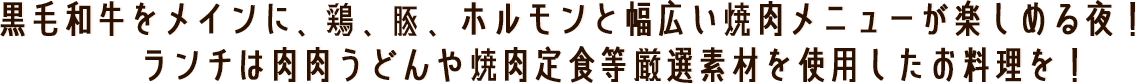 黒毛和牛をメインに、豚、鶏、ホルモンと幅広い焼肉メニューが楽しめる夜！ランチかは肉肉うどんや焼肉定食等厳選素材を使用したお料理を！